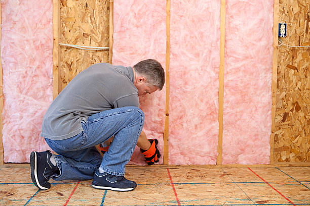 Best Eco-Friendly Insulation in Reinbeck, IA